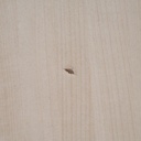 Office table 'H2O' by Ibens & Bataille for Bulo (180 x 80 cm)