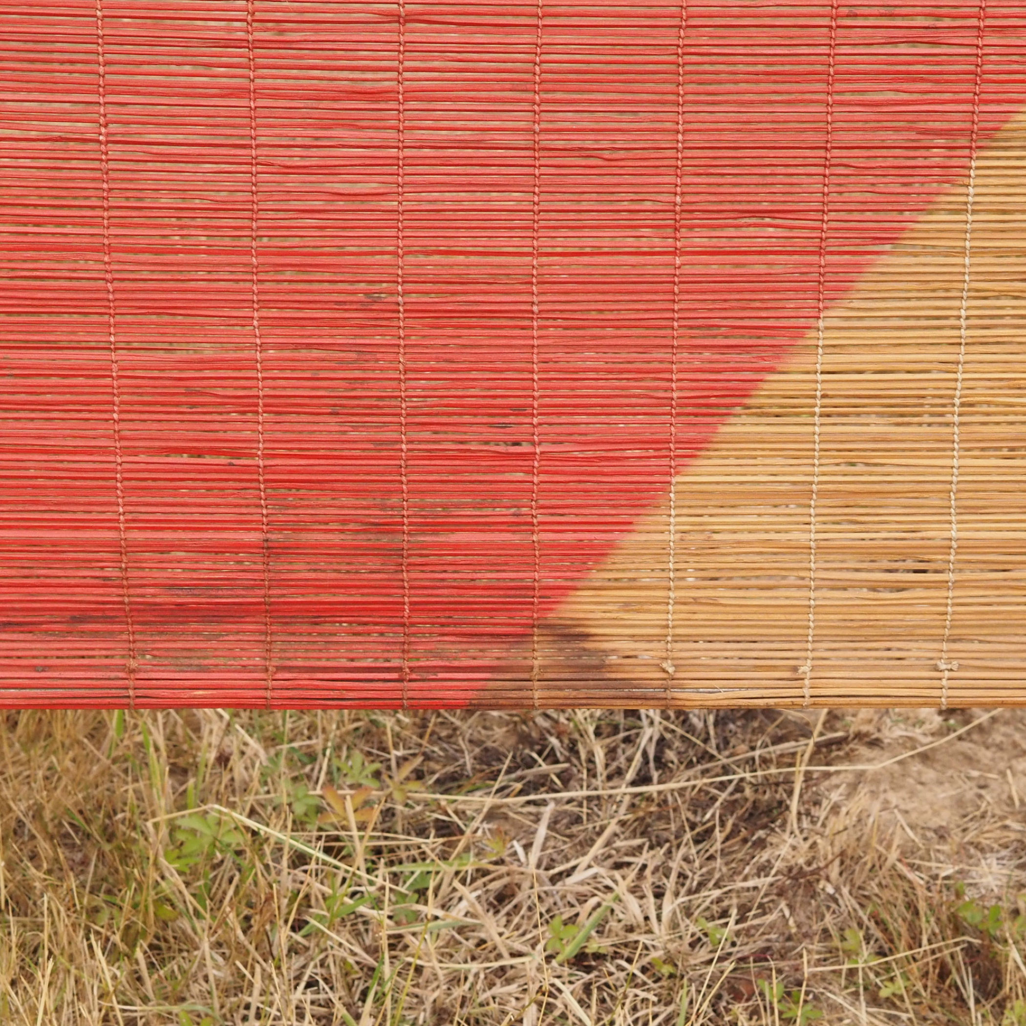 Bamboo screen by Christophe Gevers from the Générale de Banque