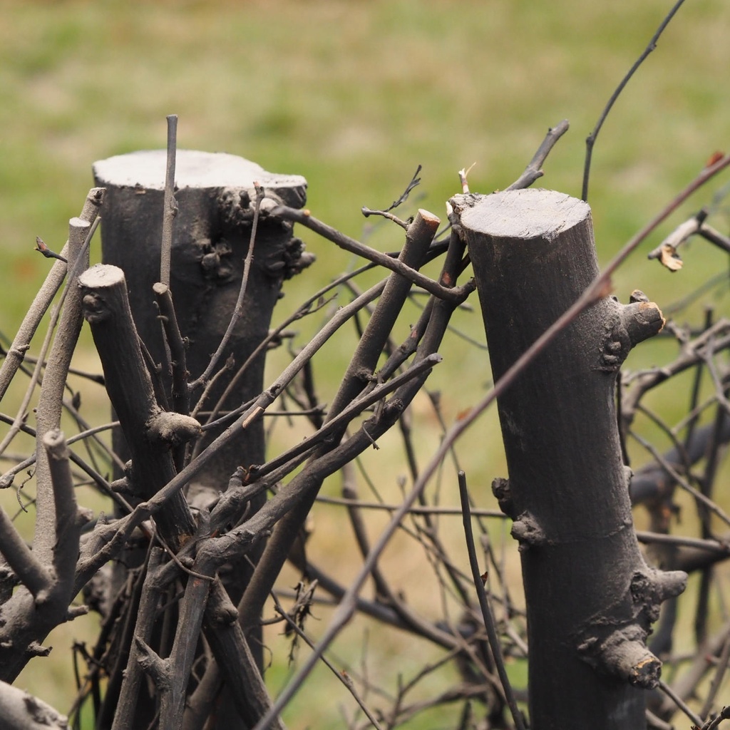 Partition in steel with decorative element 'Black Bush' by Christophe Gevers from the Générale de Banque (L. 510 cm)