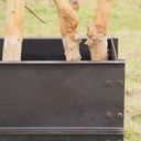 Partition in steel with decorative element 'Small Trees' by Christophe Gevers from the Générale de Banque (L. 800 cm)