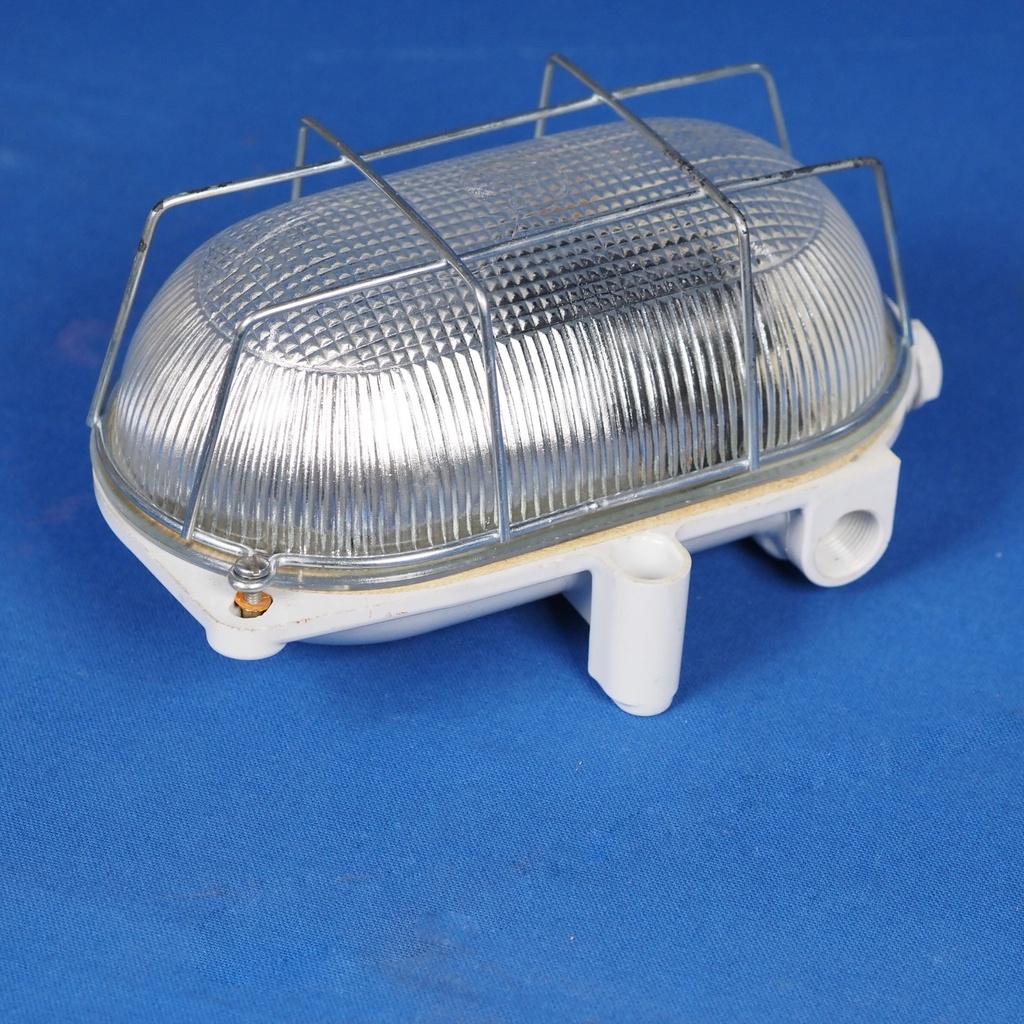 Caged wall/ceiling light with bakelite base and textured glass diffuser by L'ébènoïd - Steel cage