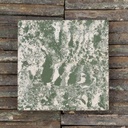 Cement tile 'Eruditio' by SVK (15,2 x 15,2 cm) - Sold per m2