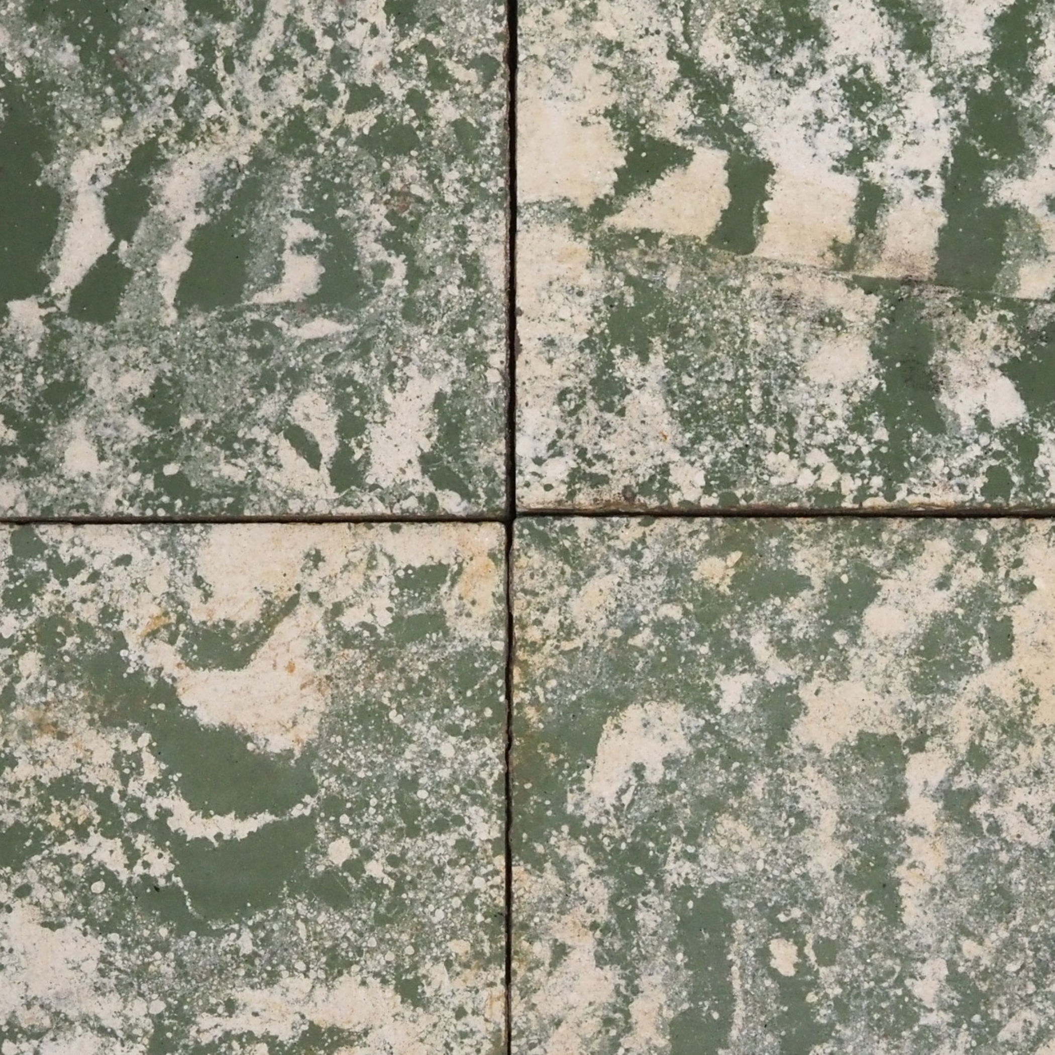 Cement tile 'Eruditio' by SVK (15,2 x 15,2 cm) - Sold per m2