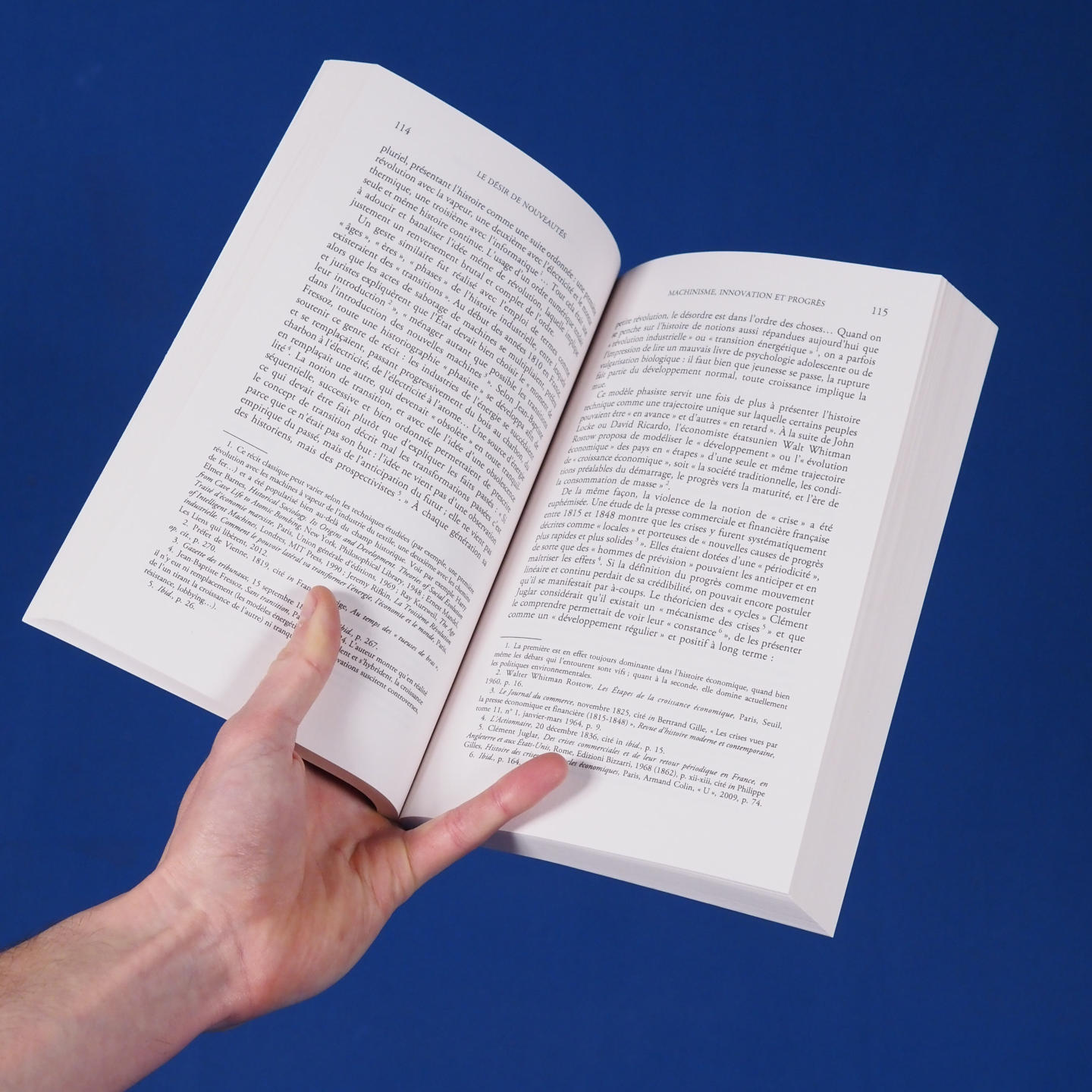 Book 'Le désir de nouveautés: L'obsolescence au cœur du capitalisme (XVe-XXIe siècle)' by Jeanne Guien