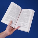 Book 'Le désir de nouveautés: L'obsolescence au cœur du capitalisme (XVe-XXIe siècle)' by Jeanne Guien