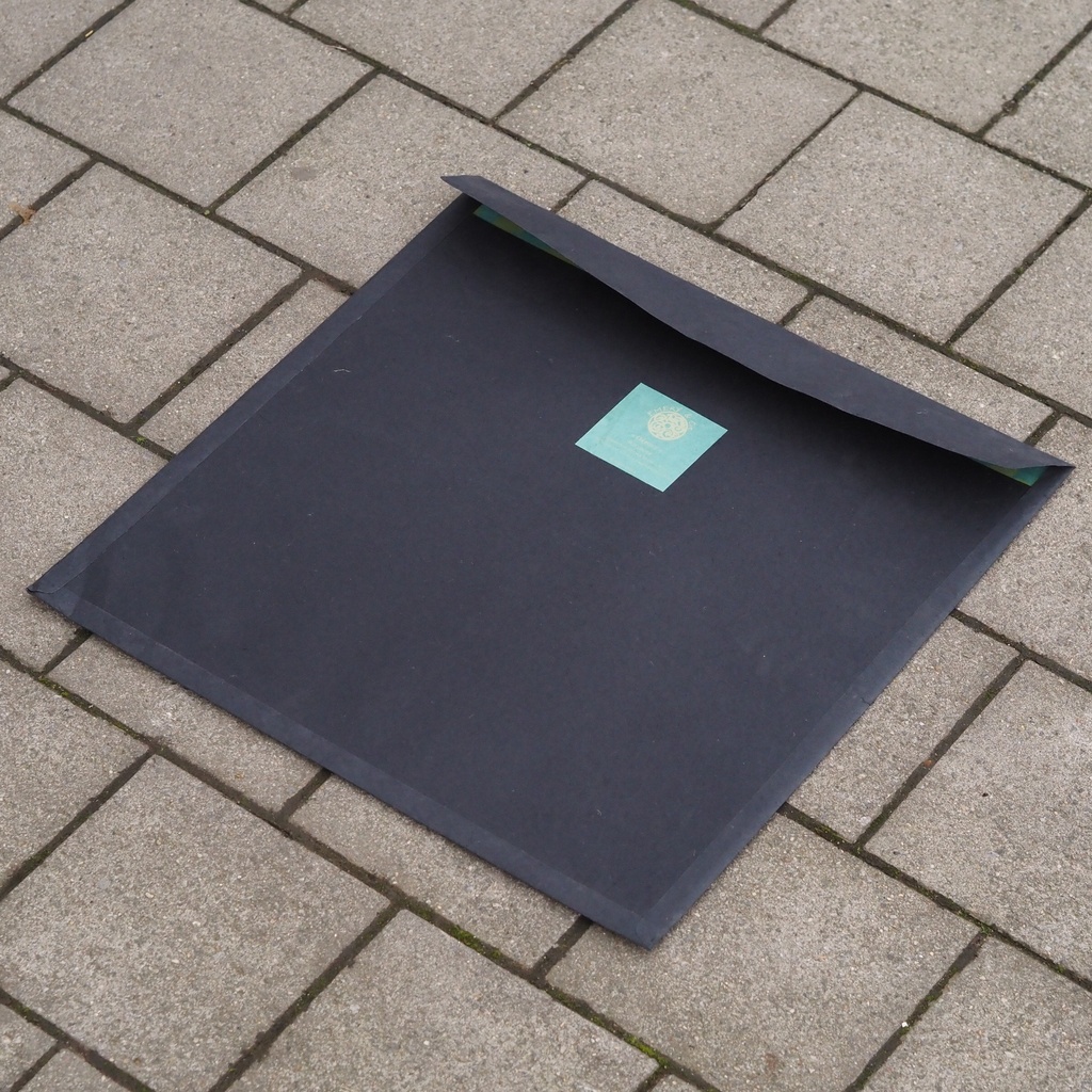 Set of wallpaper 'Orphée' by Emery&Cie (3,38 m²) - Yellow/Green