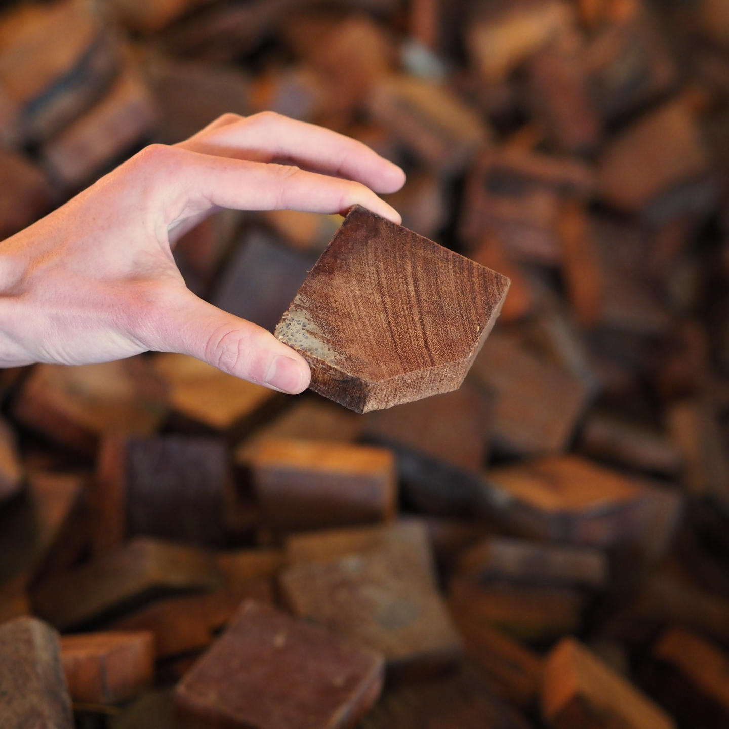 End grain blocks in afzelia wood from the parquet of the former printing house of the Belgian National Bank (7 x 7 cm) - Only available in our physical shop (C-quality)