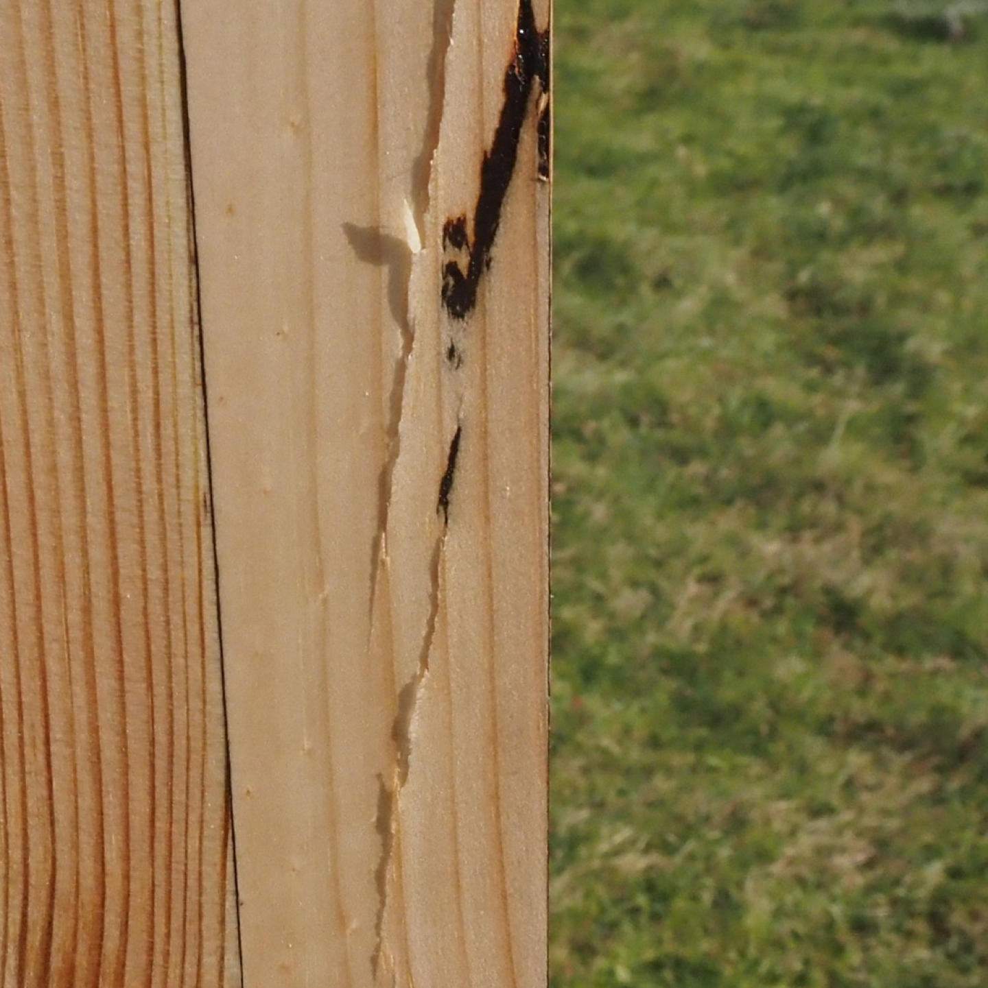 Long planed panel in reclaimed glued laminated timber (L. min 500 x 45 cm)
