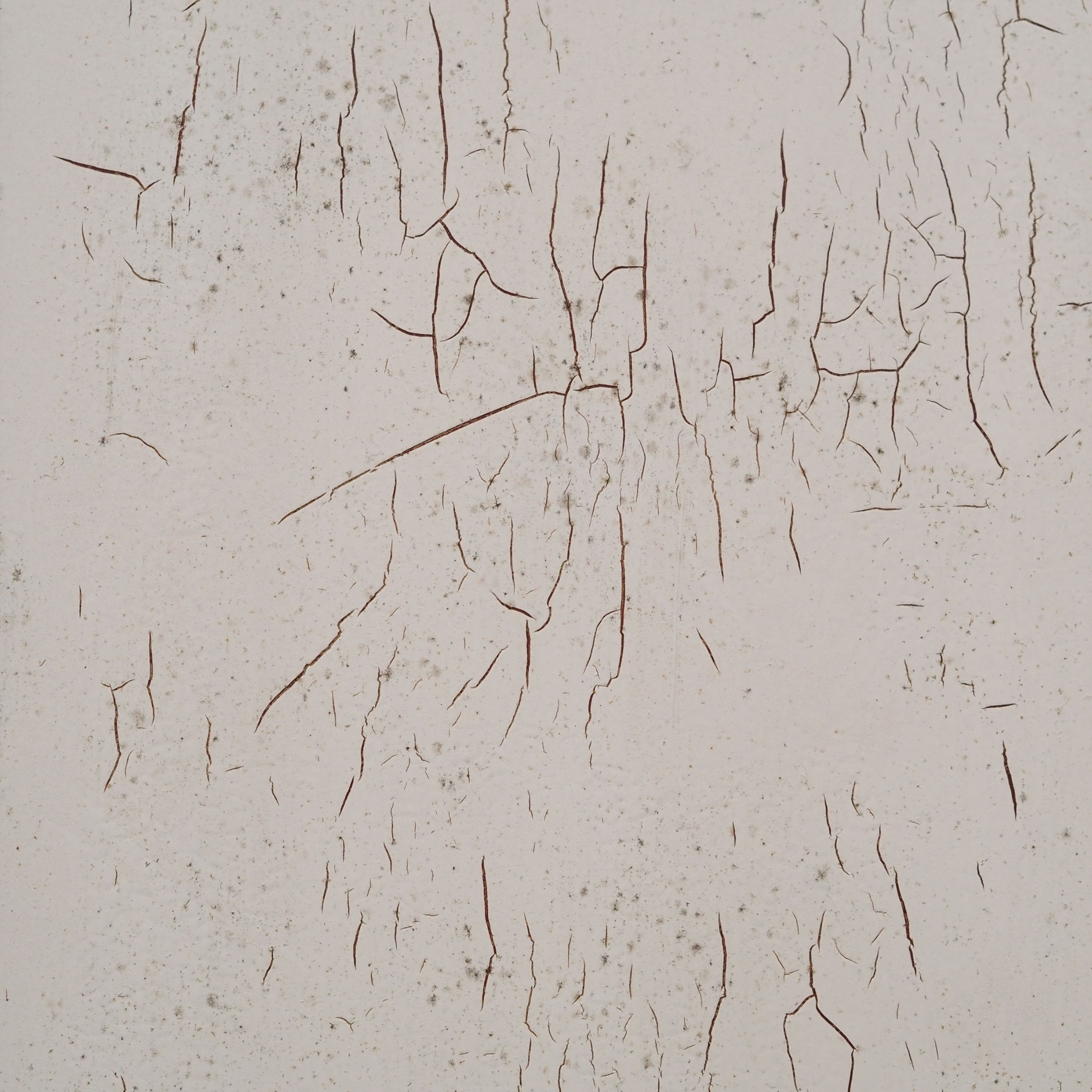 Double door in painted solid wood (H. 293,5 cm x W. 142 cm) - Right