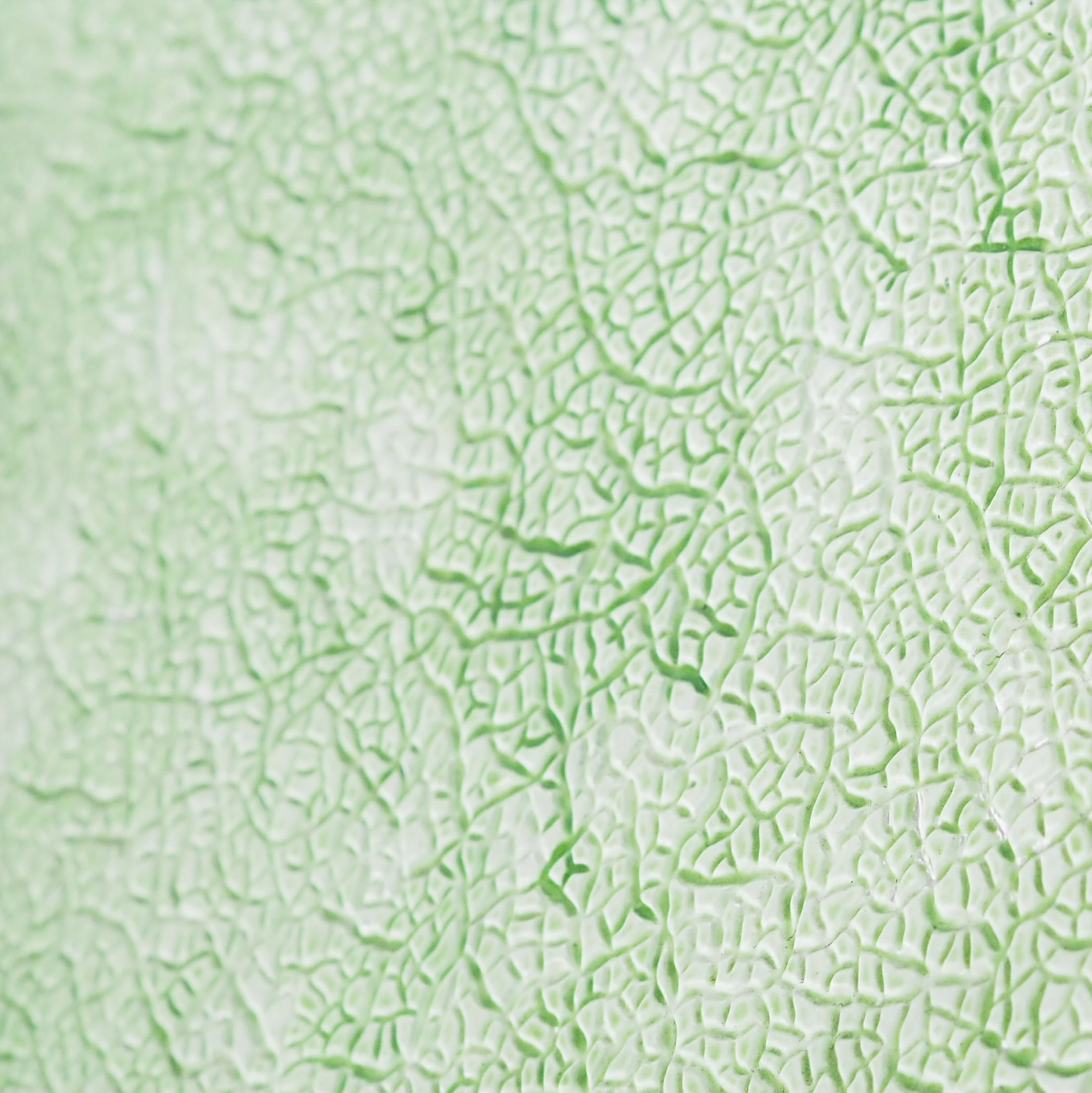 Double door in painted solid wood and textured glass panels (H. 296,5 cm x W. 140 cm) - Right