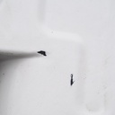 Bucket sink in enamelled steel (Black or grey rubber trim)