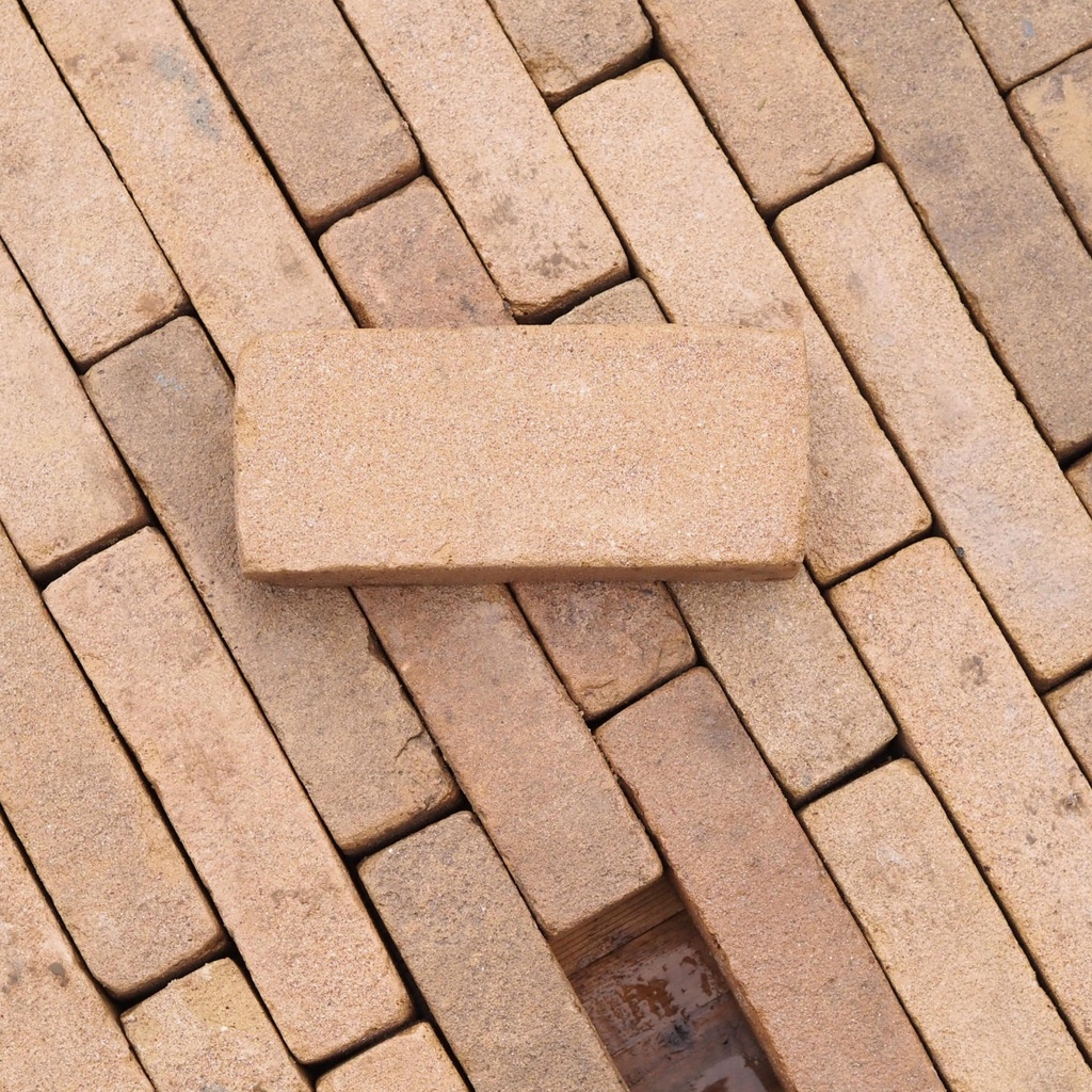 Terracotta brick pavers by Wienerberger (19,5 x 4,5 cm)