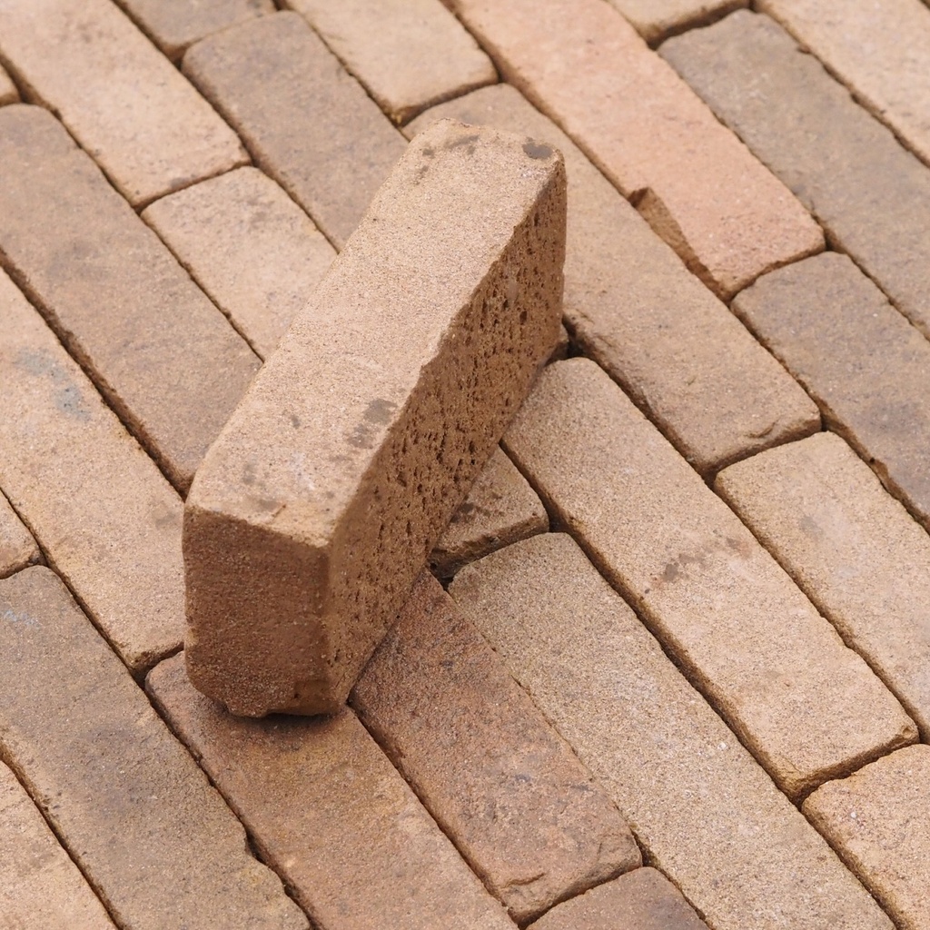 Terracotta brick pavers by Wienerberger (19,5 x 4,5 cm)