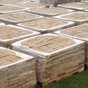 Reclaimed paving brick in clay by Wienerberger from The Royal Museum of Fine Arts Antwerp - Sold per m2