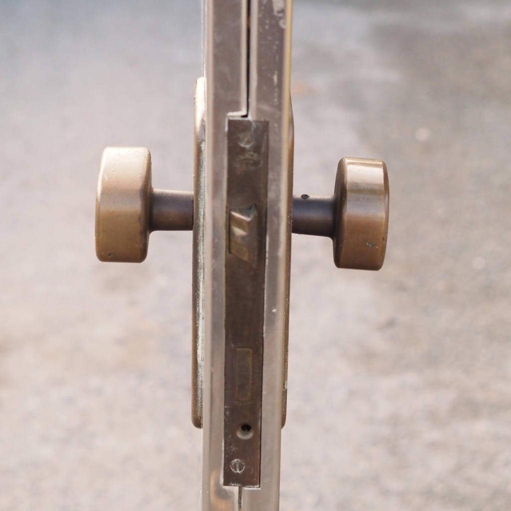 Door in stainless steel with bronze door handles by Jules Wabbes (H. 198,5 x 79 cm) - Left
