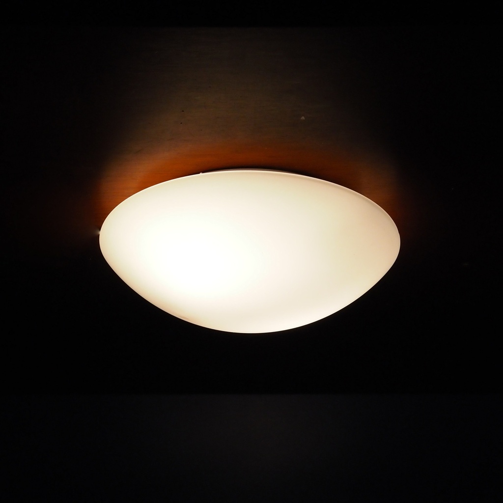 Wall light 'Bo-Niko' in opaline glass and bakelite by Niko (ca. 1960)