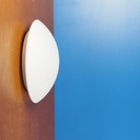 Wall light 'Bo-Niko' in opaline glass and bakelite by Niko (ca. 1960)