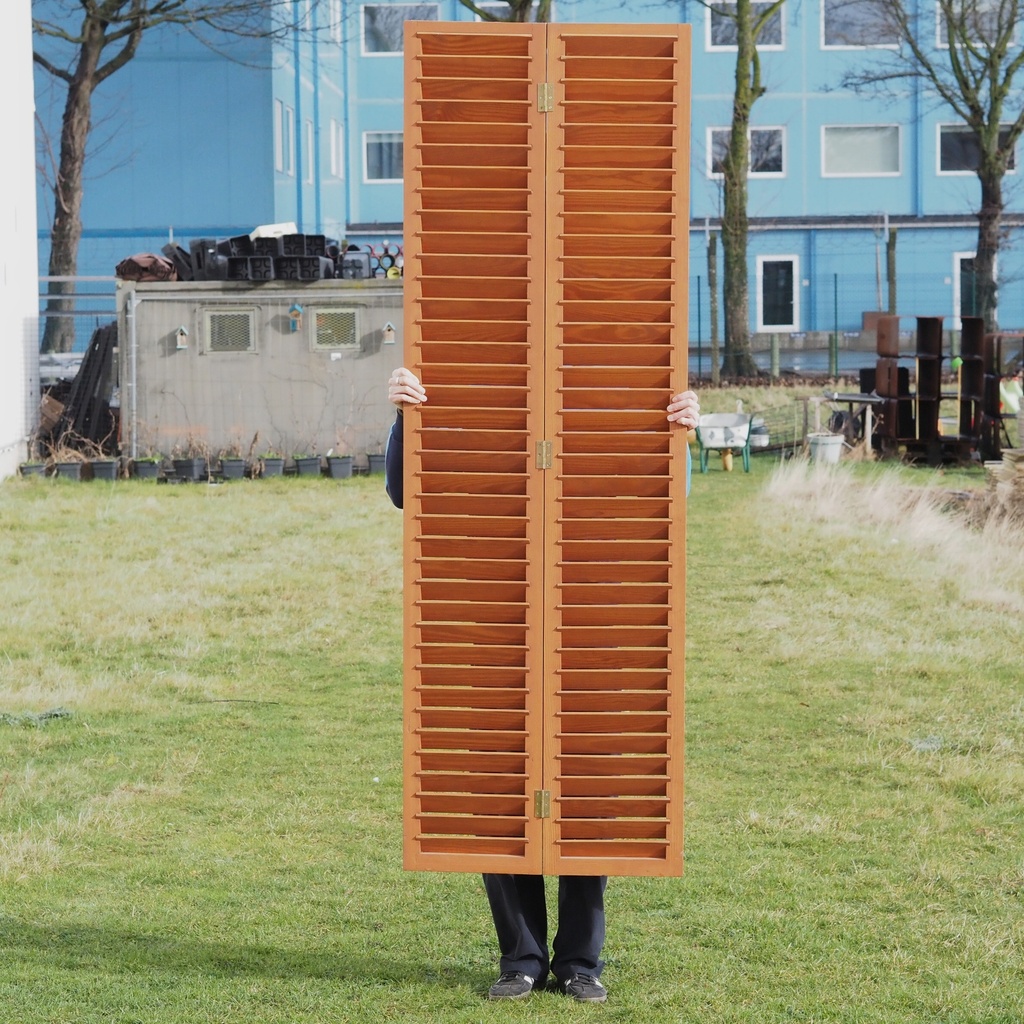 Double wooden shutter (H. 216,5 cm x W. 72 cm)