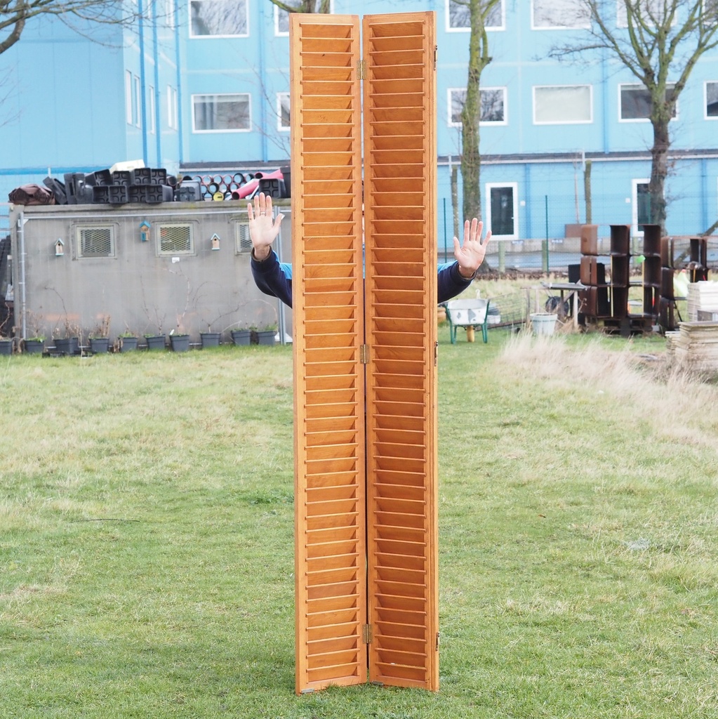 Double wooden shutter (H. 250,5 cm x W. 61,4 cm)