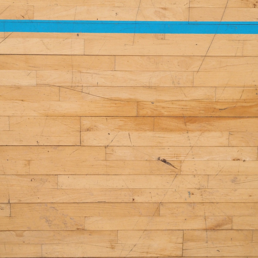 Gymnasium flooring panel in varnished solid beech (222 x 122 cm) - Sold per panel
