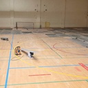 Gymnasium flooring panel in varnished solid beech (222 x 122 cm) - Sold per panel