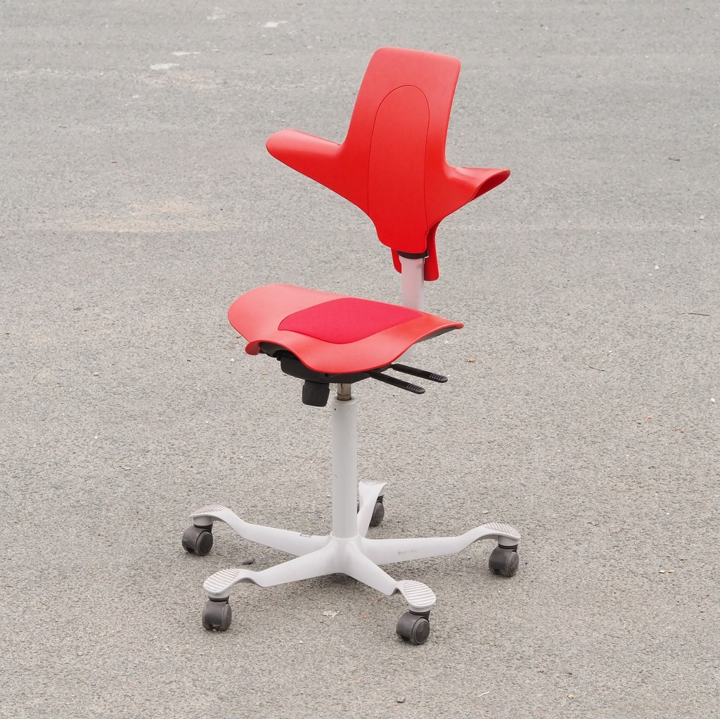 School chair in plywood and steel tube legs