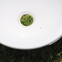 Double bathroom sink in green glazed porcelain by Villeroy & Boch