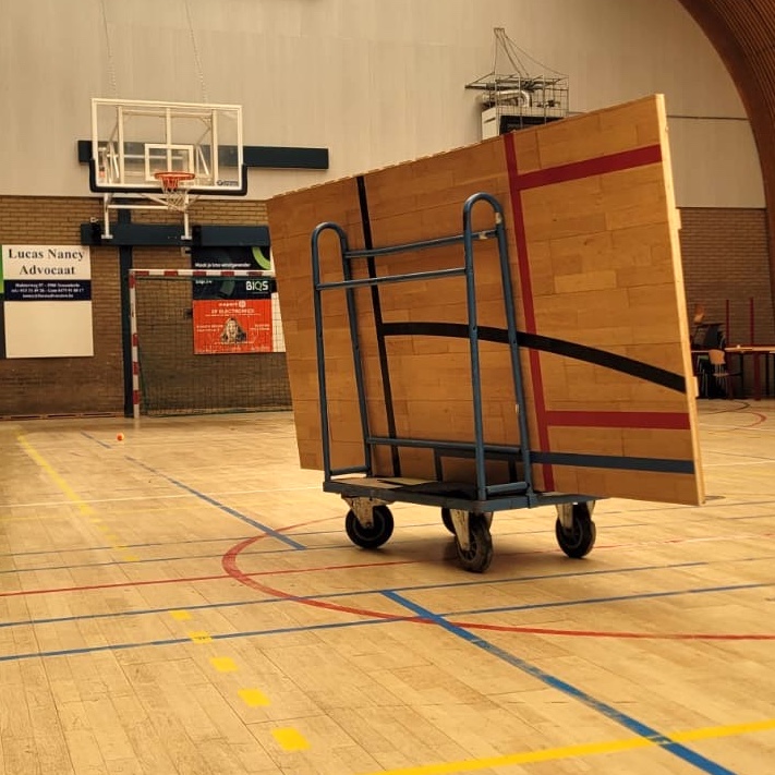 Gymnasium flooring panel in varnished solid beech (222 x 122 cm) - Sold per panel