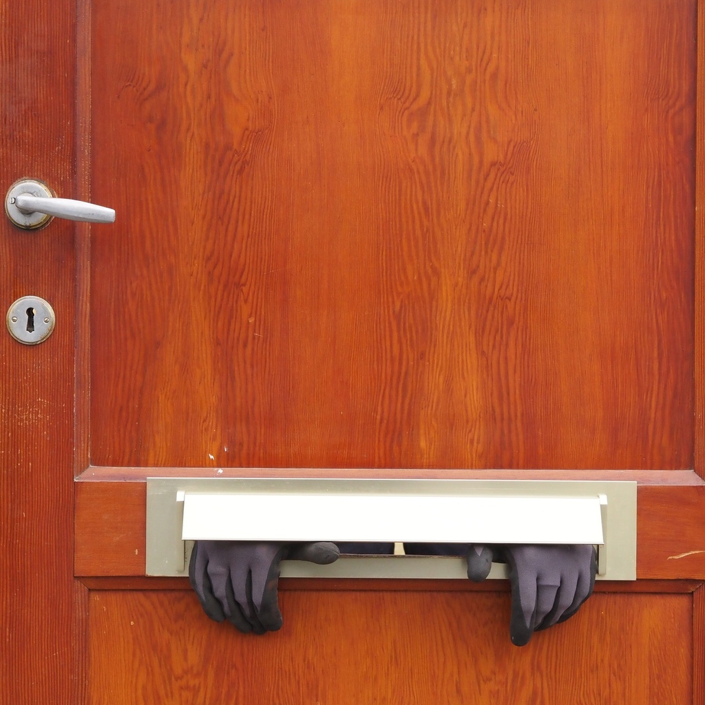 Door in solid wood (H. 239 x W. 90 cm) - Left