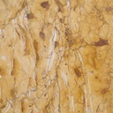 Grand Coquillier du Var marble slabs (various sizes) - Only available in our physical shop