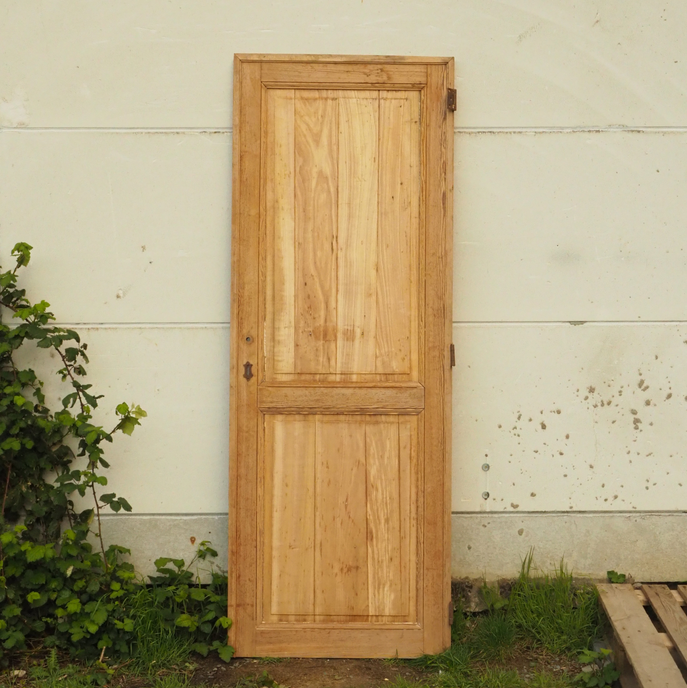 Wooden door in solid pine (H. 229 x W. 84 cm)