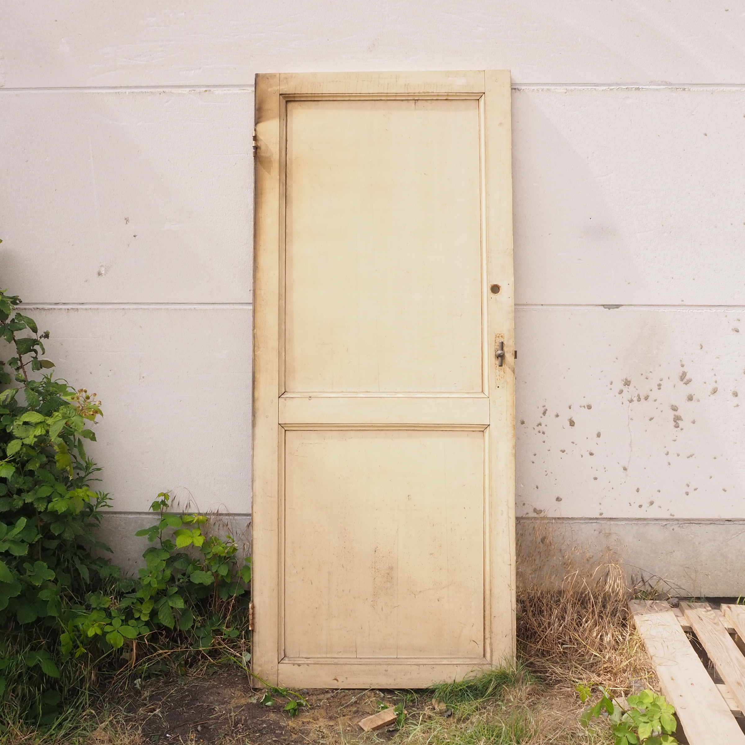 Door in painted wood