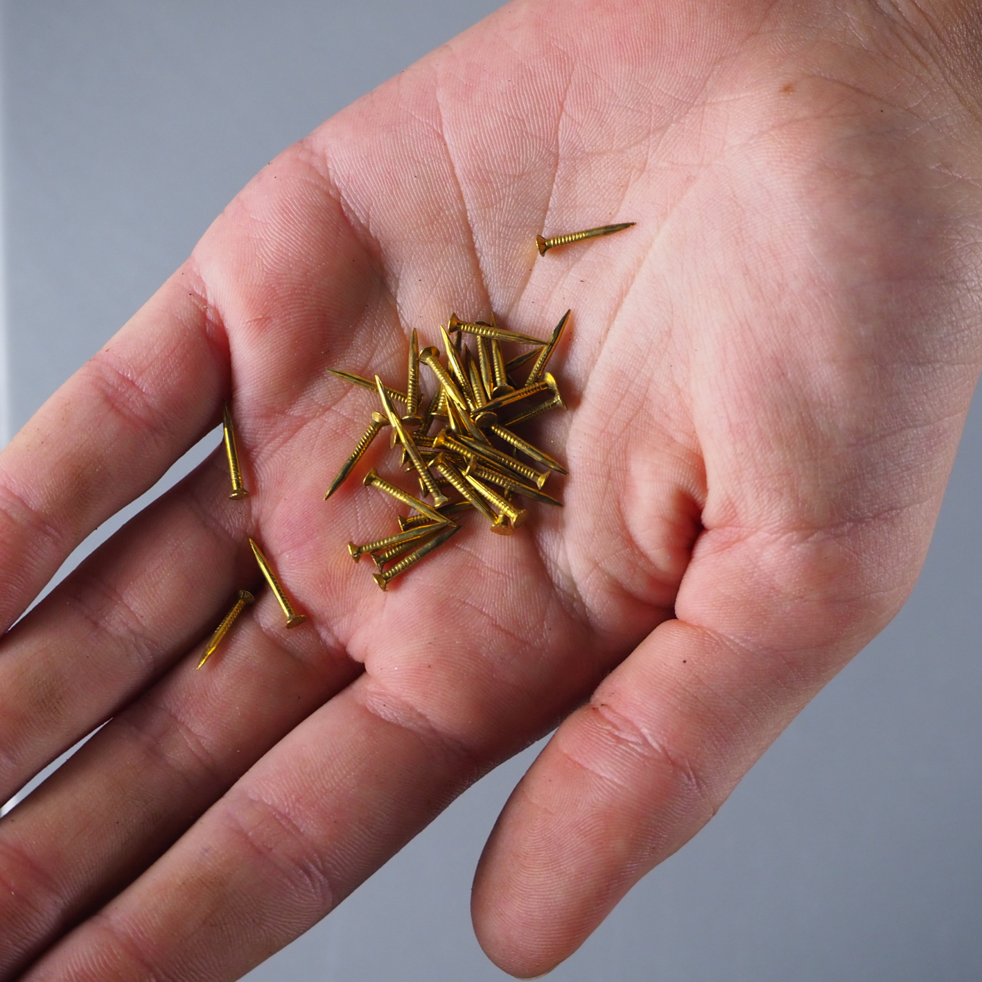 Pack of copper nails 'La Sans Rivale'
