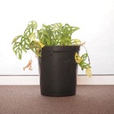 Waste bin in bakelite - Dark green