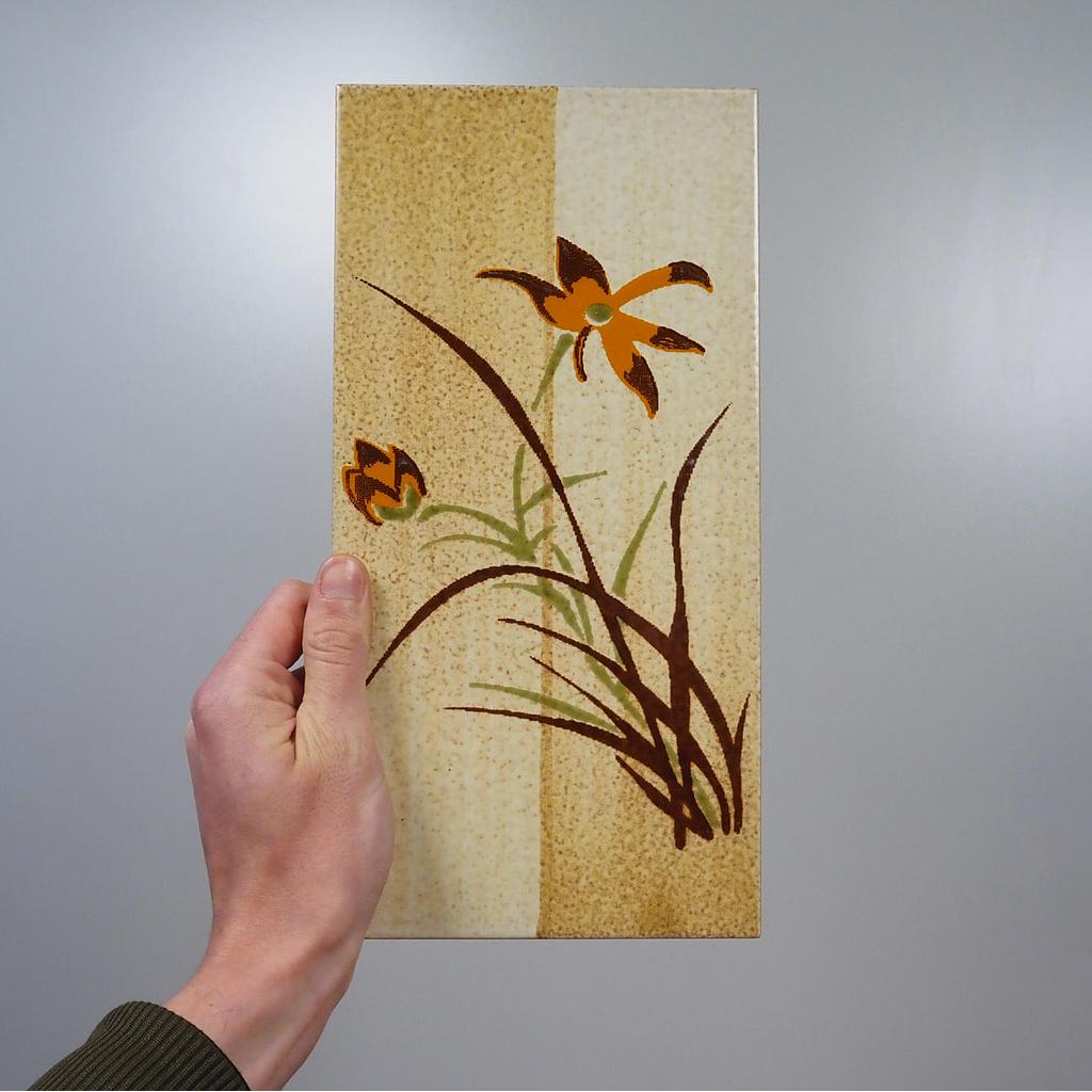 Wall ceramic tile by Faventia (30 x 15 cm)