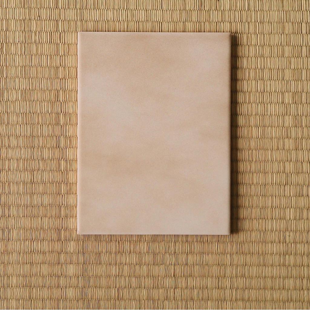 Wall glazed ceramic tile 'Fumé' by Sphinx (19,8 x 15 cm) - Sold per m2