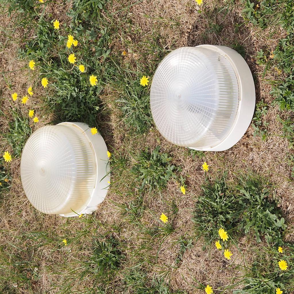 Wall/Ceiling light by Legrand in polycarbonate with porcelain socket (B22)