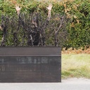 Partition in steel with decorative element 'Black Bush' by Christophe Gevers from the Générale de Banque (L. 510 cm)
