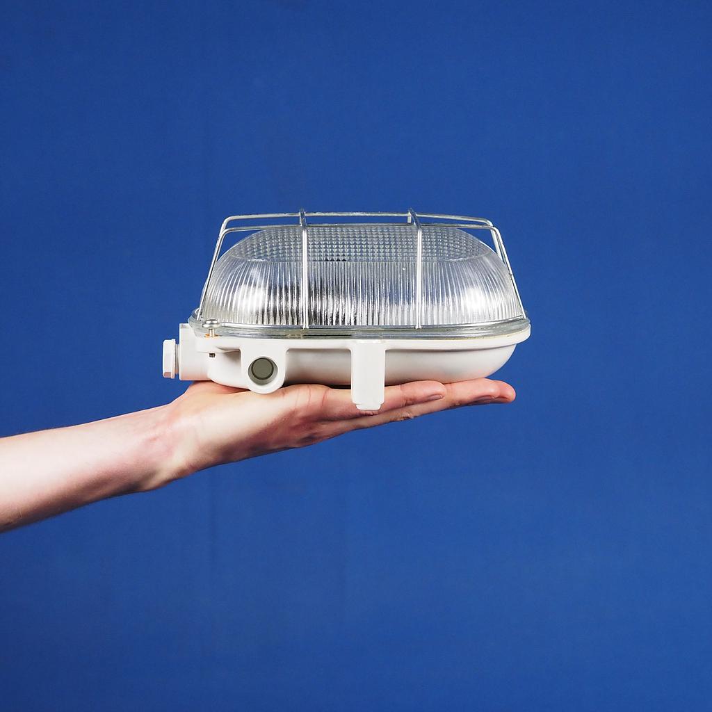 Caged wall/ceiling light with bakelite base and textured glass diffuser by L'ébènoïd - Steel cage (E27)