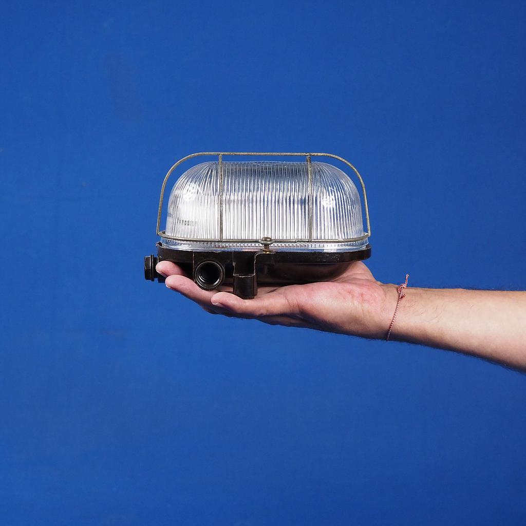Caged wall/ceiling light with bakelite base, steel cage and textured glass diffuser (Bayonet)