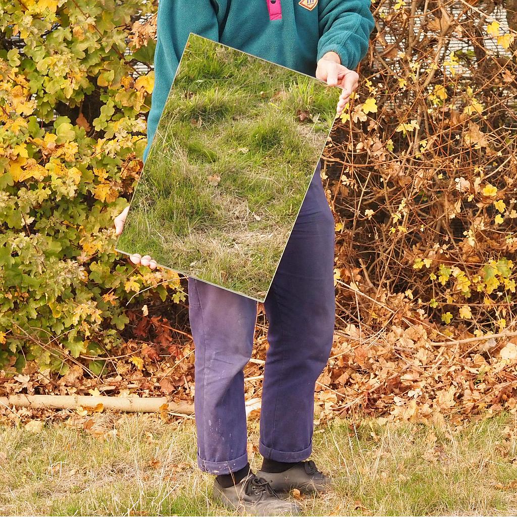 Mirror by Mirodan (60 x 40 cm)