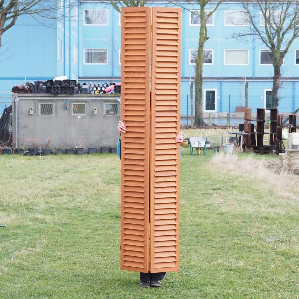 Double wooden shutter in basswood (H. 250,5 cm x W. 61,4 cm)