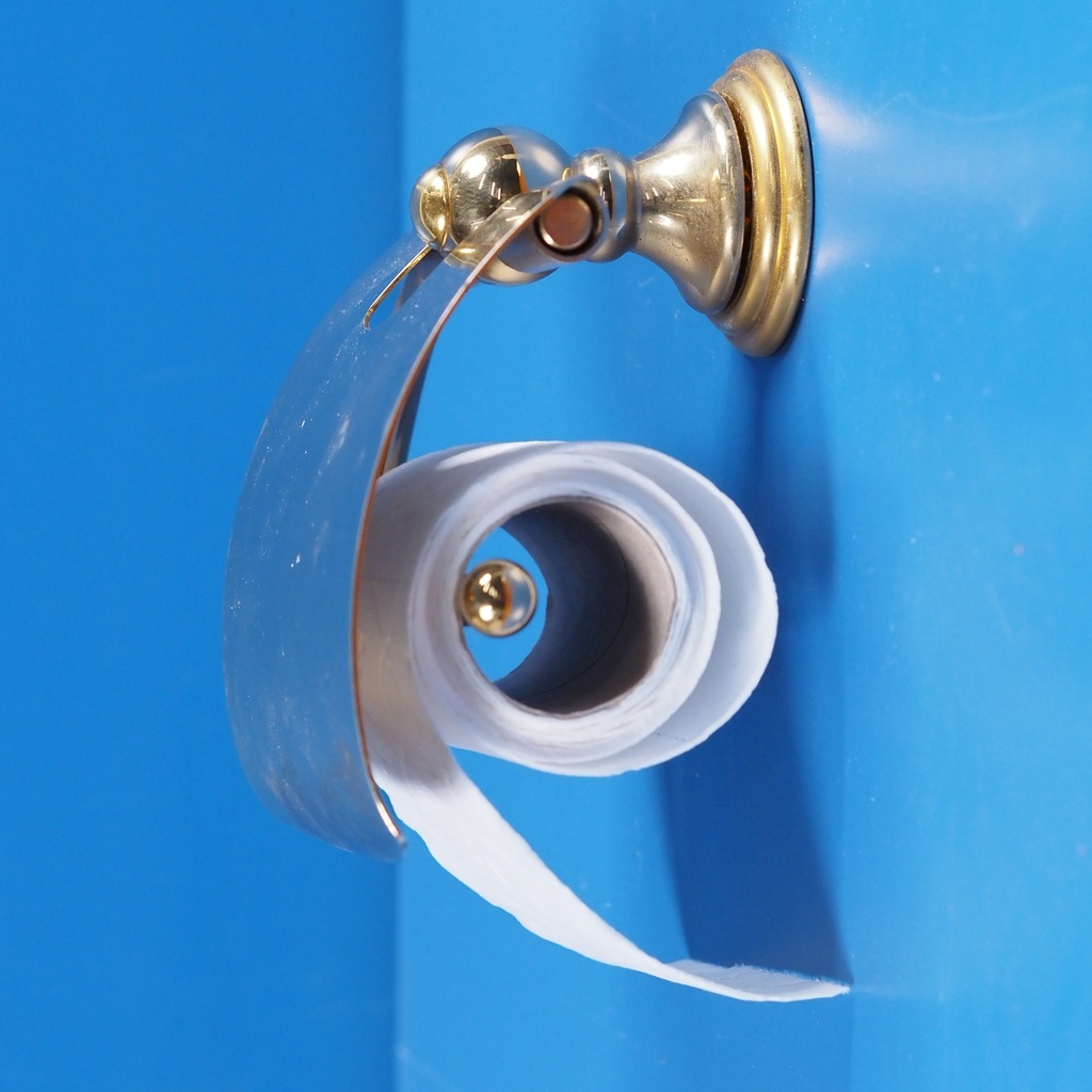 Toilet paper holder with cover in brass