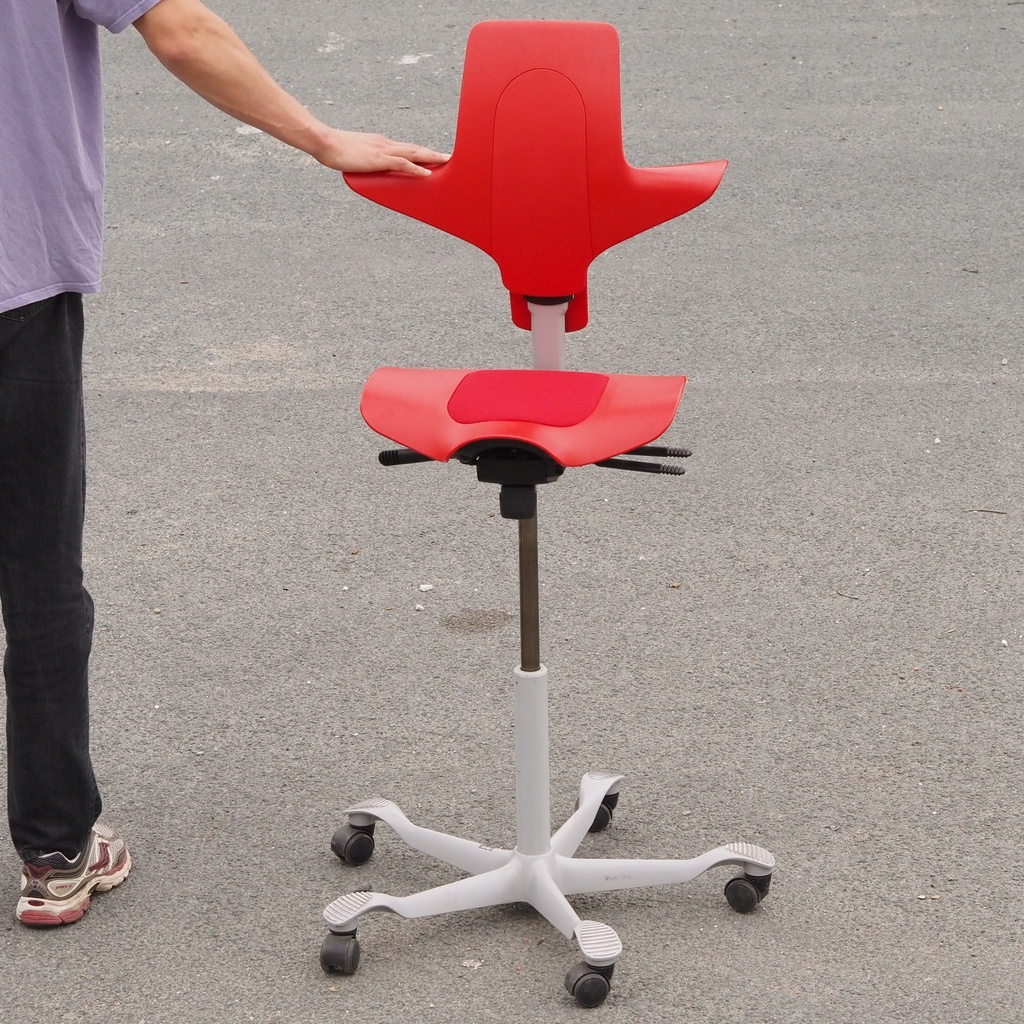 Office Chair 'Capisco Puls 8010' by Peter Opsvik for HÅG