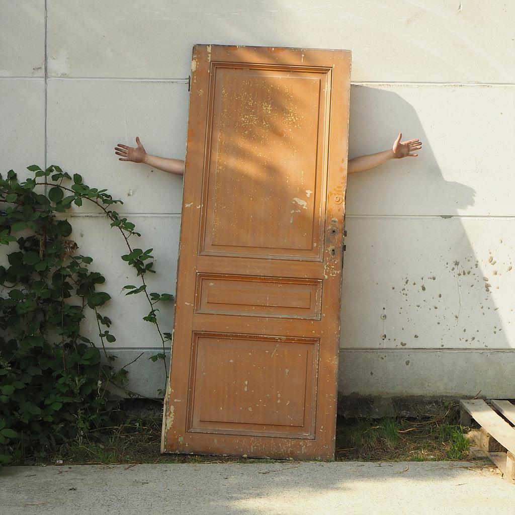 Wooden door (H 223 cm x 87,5 cm) - Left