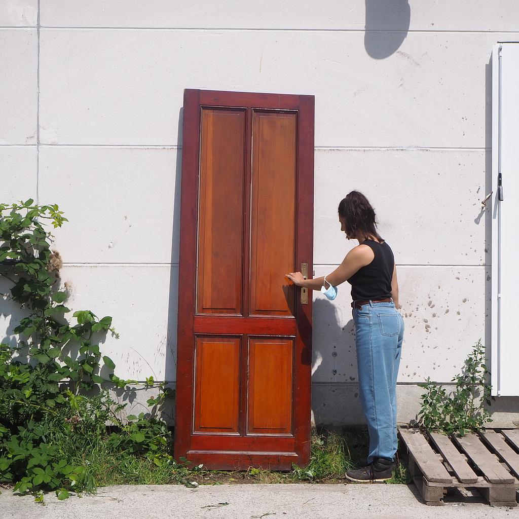 Door in solid wood