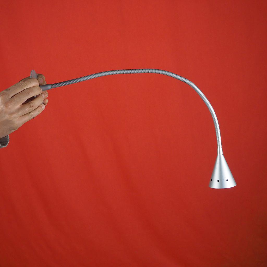 Wall/Ceiling light with flexible arm