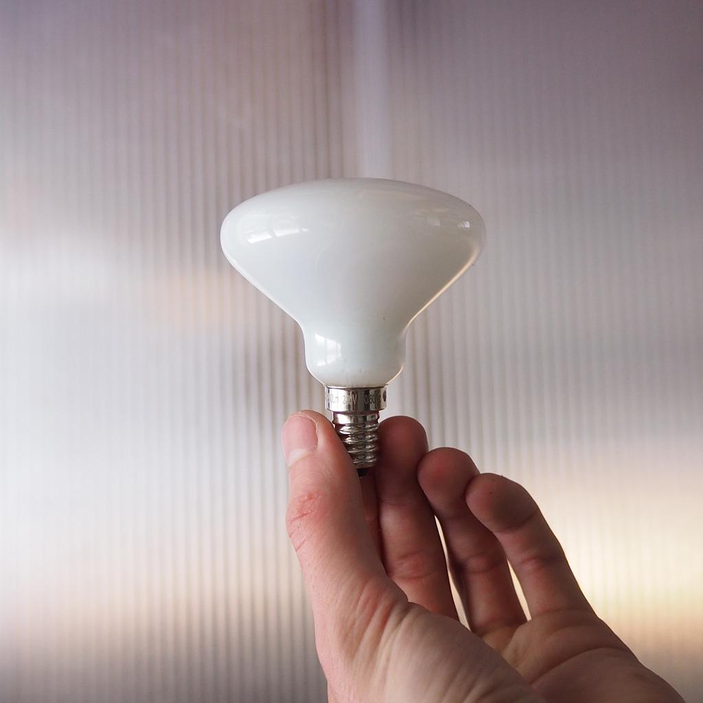 Bulb 'Mushroom' Led by Pope (4W, E14, Dimmable)
