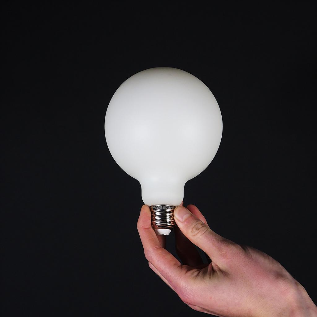 Bulb Led Globe 125MM by Snoerboer 4 5W E27 Dimmable Satin opal glass
