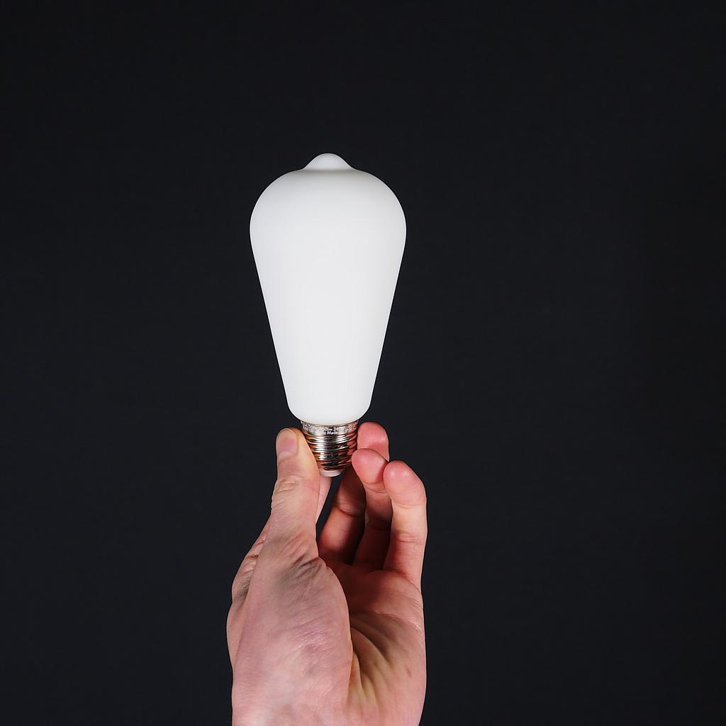 Bulb 'Filament Led Edison 64MM' by Snoerboer (4,5W, E27, Dimmable) - Satin opal glass